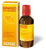 GINKGO BILOBA COMP.Hevert Tropfen